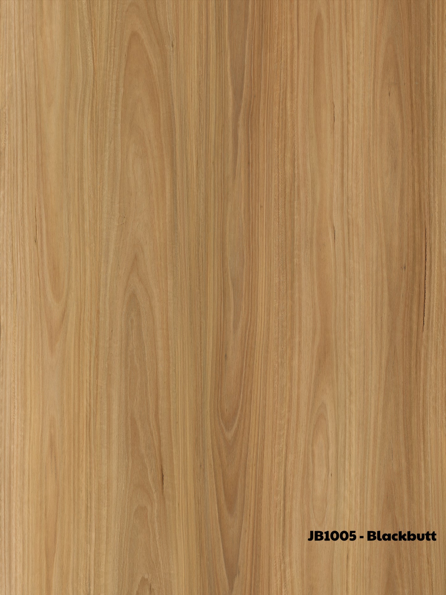 Blackbutt Wooden Floor Board (Free Installation)