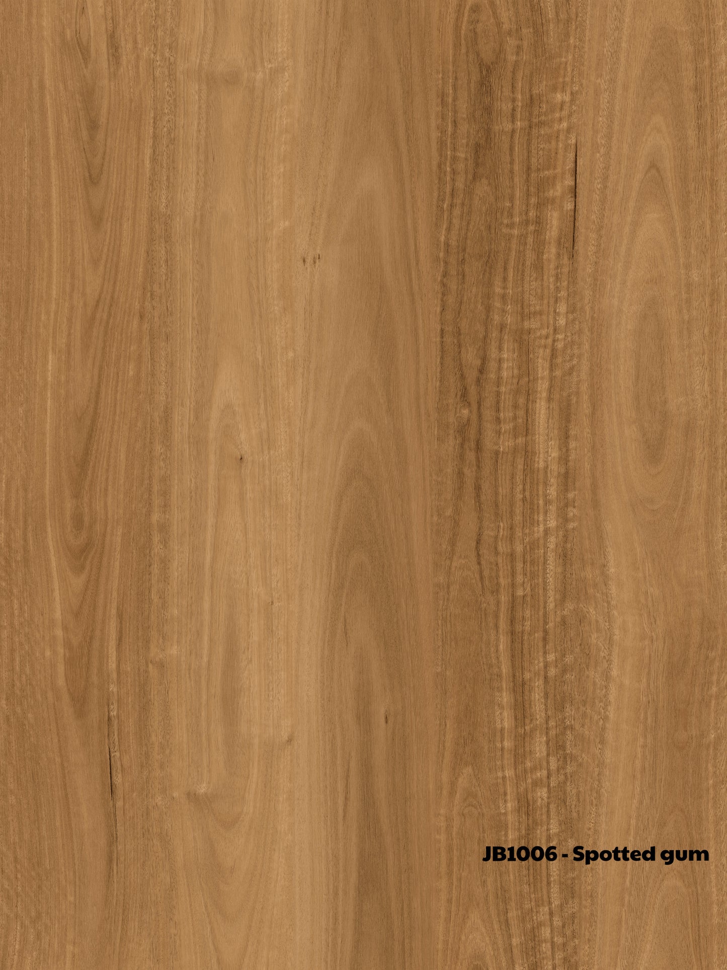 Spotted Gum Wooden Floor Board (Free Installation)